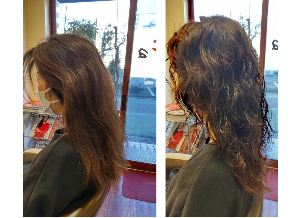 hair2024a1
